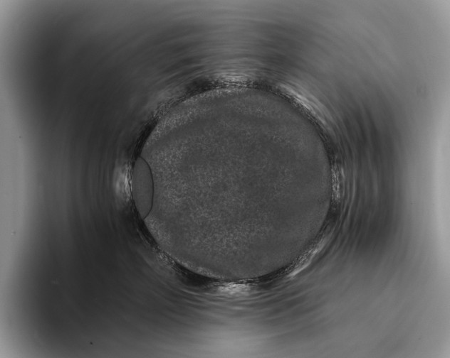 X0000093160718200710171209