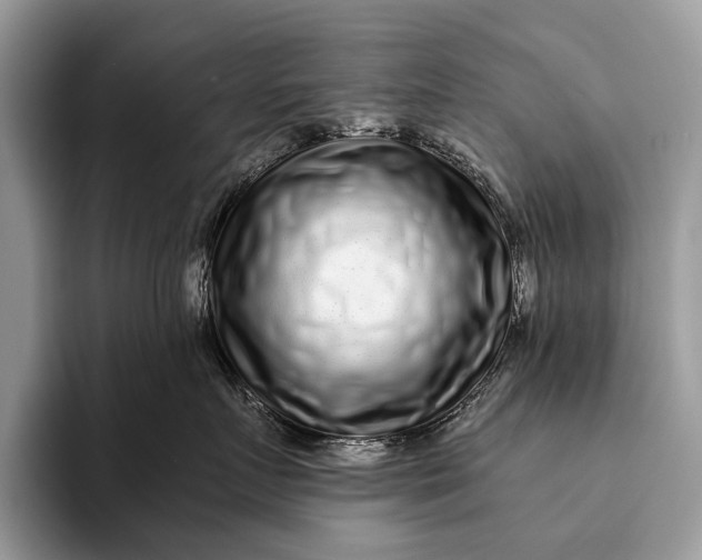X0000093160719200710171209