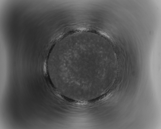 X0000093160720200710171209