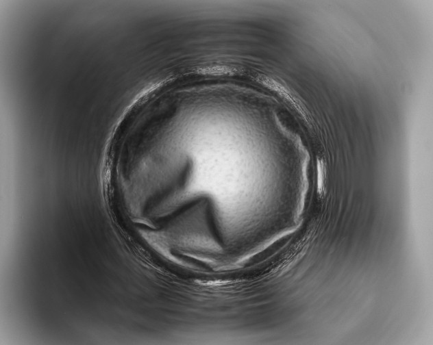X0000093160723200710171209