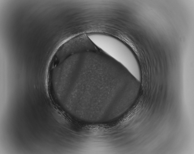 X0000093160724200710171209