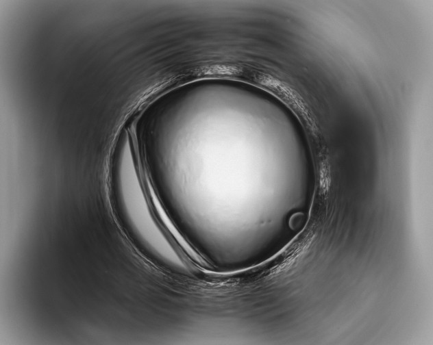 X0000093160725200710171209
