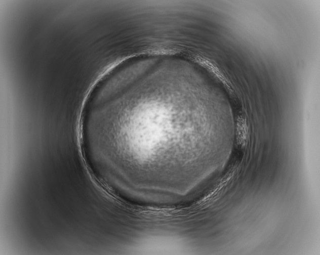 X0000093160726200710171209
