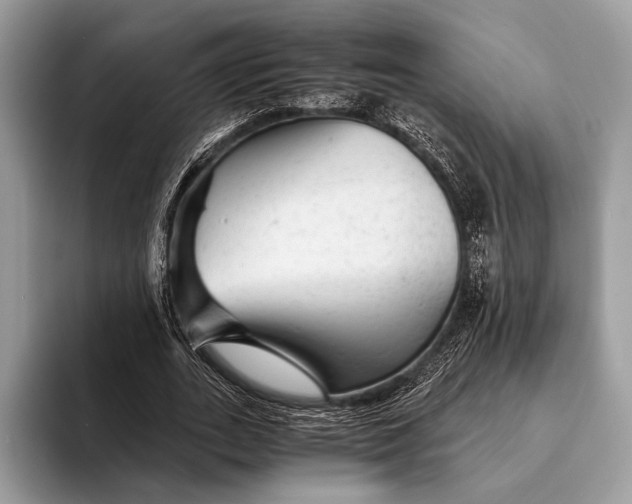 X0000093160727200710171209