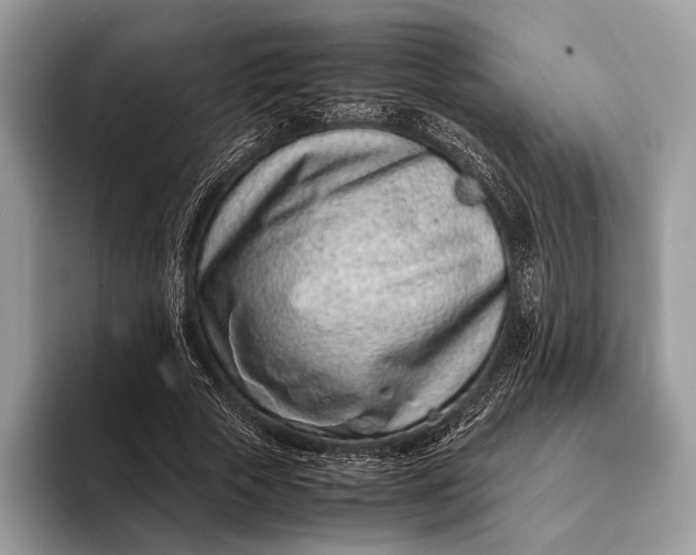 X0000093160729200710171209