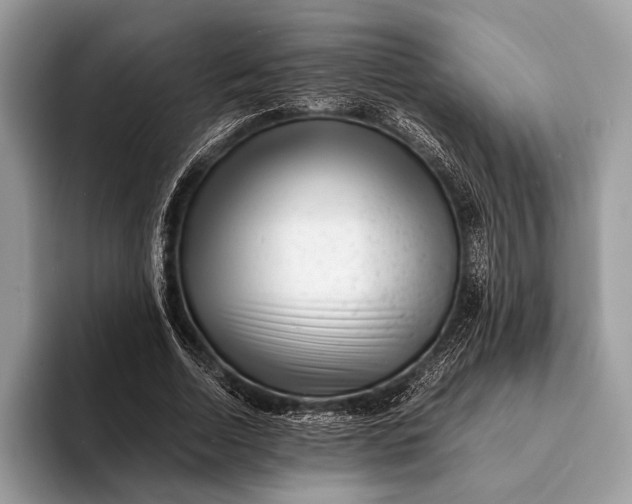 X0000093160730200710171209