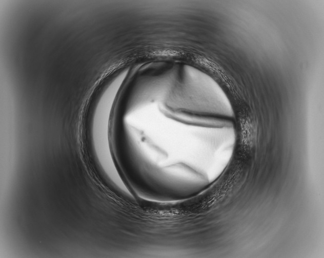 X0000093160731200710171209
