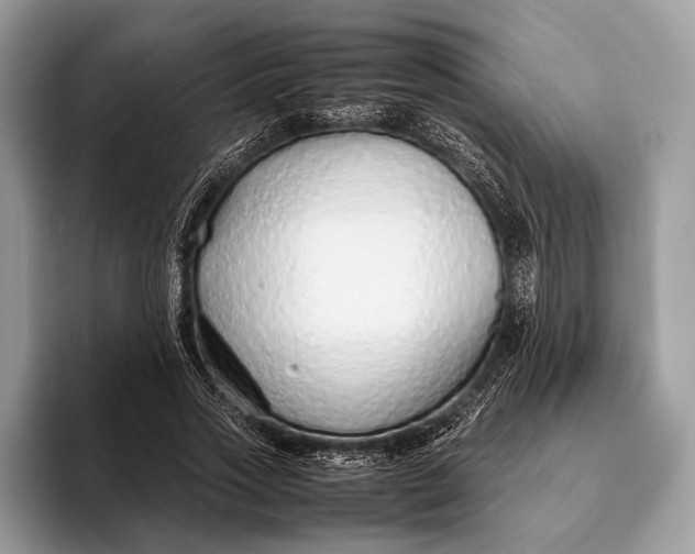 X0000093160733200710171209