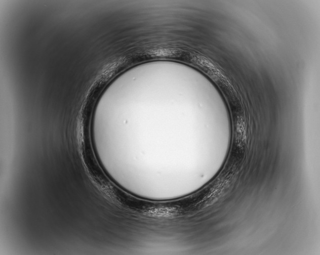 X0000093160734200710171209