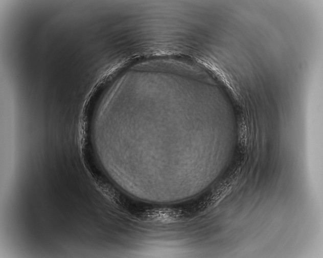 X0000093160736200710171209