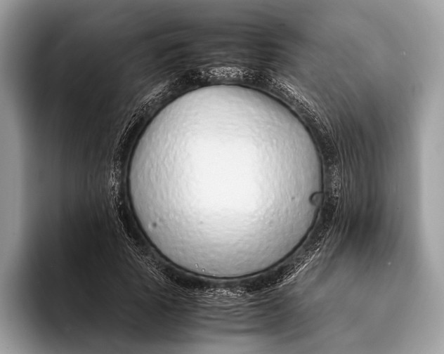 X0000093160737200710171209