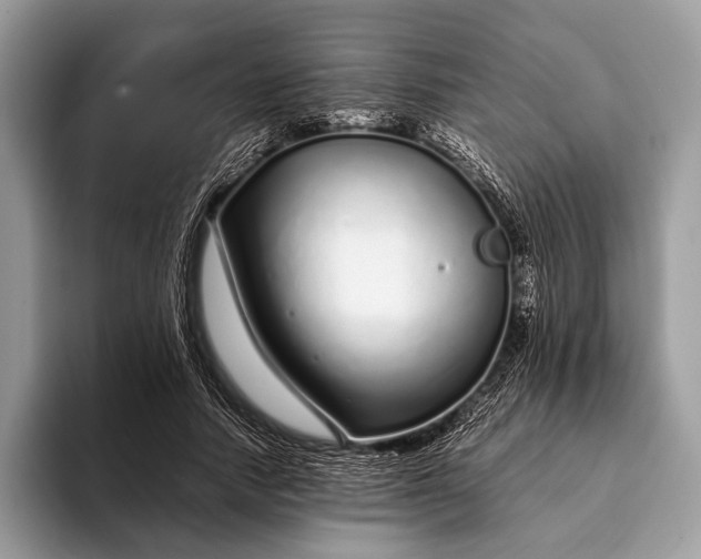 X0000093160738200710171209