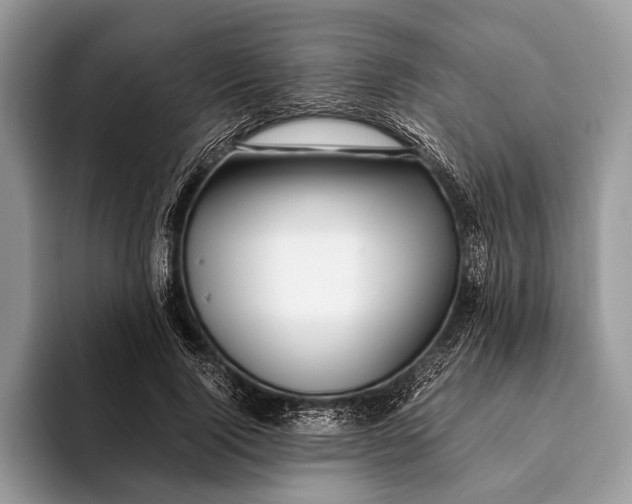 X0000093160740200710171209