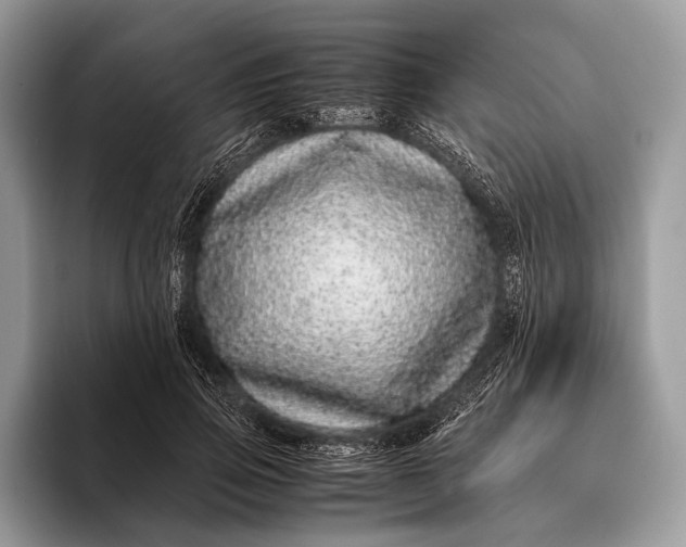 X0000093160741200710171209