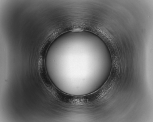 X0000093160744200710171209