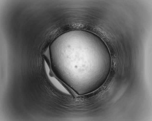 X0000093160745200710171209