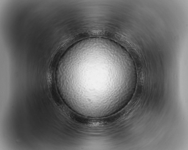 X0000093160746200710171209