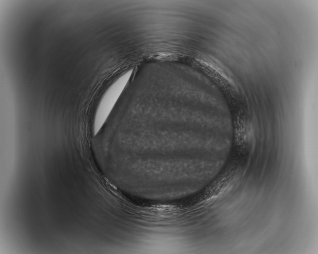 X0000093160748200710171209