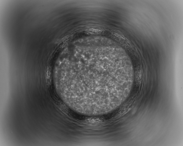 X0000093160749200710171209