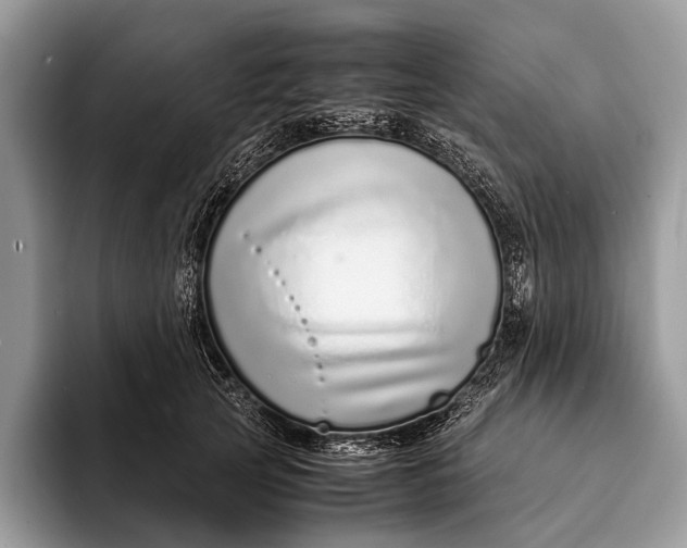 X0000093160753200710171209