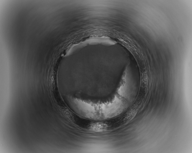 X0000093160754200710171209