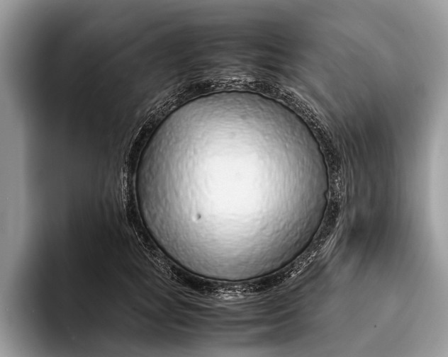 X0000093160757200710171209