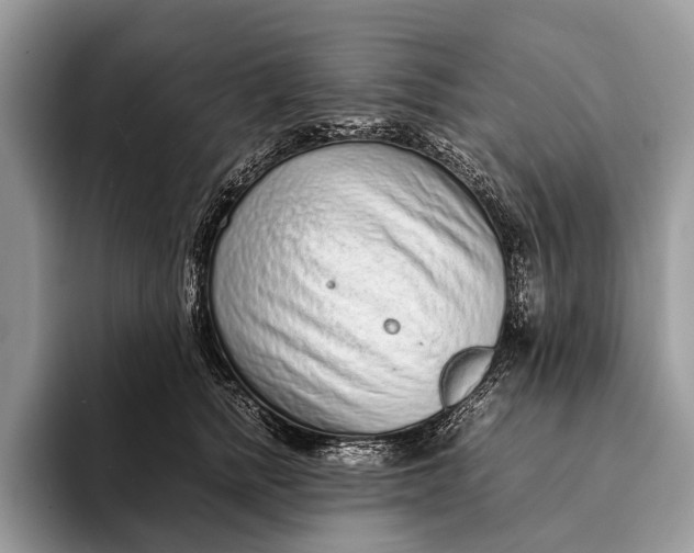 X0000093160758200710171209