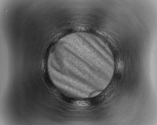 X0000093160759200710171209