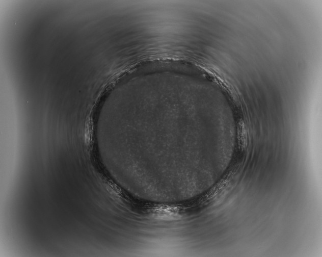 X0000093160760200710171209