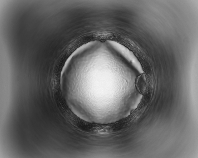 X0000093160761200710171209