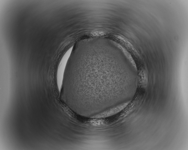 X0000093160762200710171209