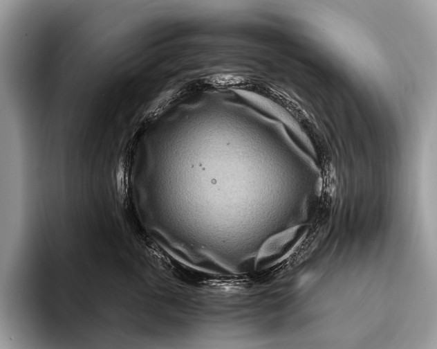 X0000093160763200710171209