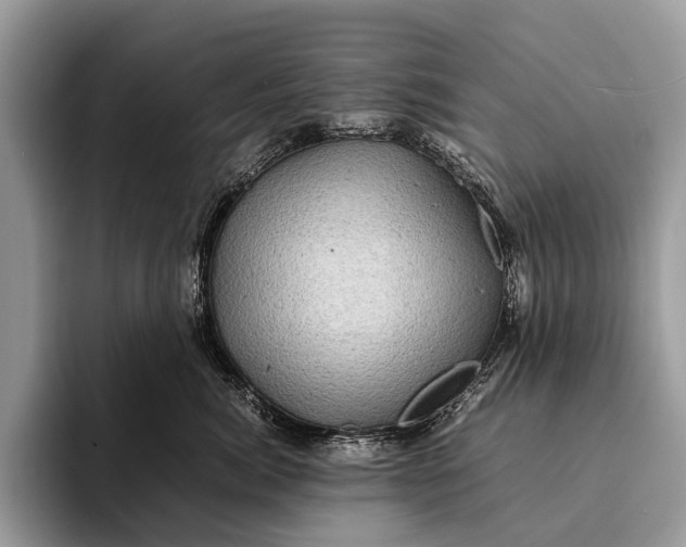 X0000093160764200710171209