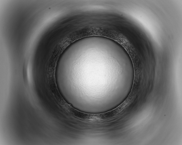 X0000093160765200710171209