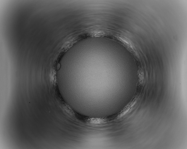 X0000093160766200710171209