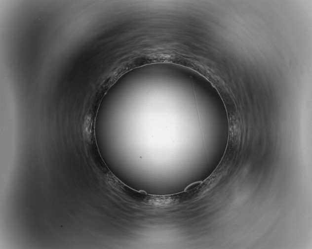 X0000093160767200710171209