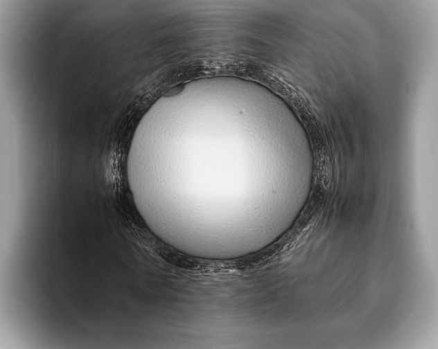 X0000093160770200710171209