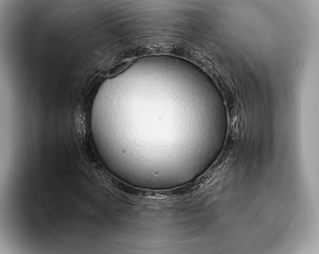 X0000093160772200710171209