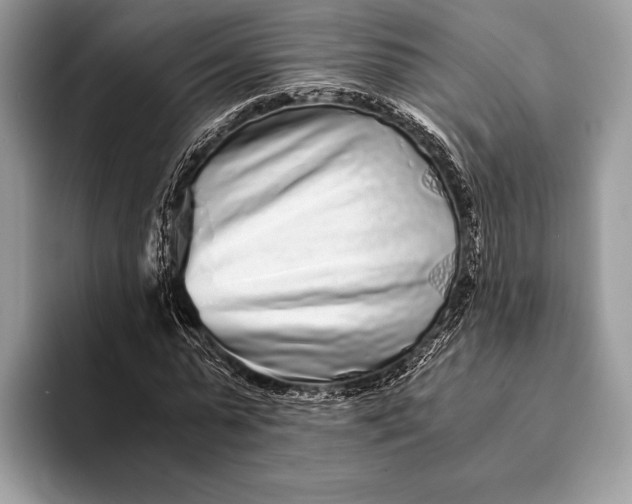 X0000093160775200710171209