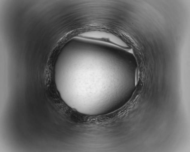 X0000093160776200710171209