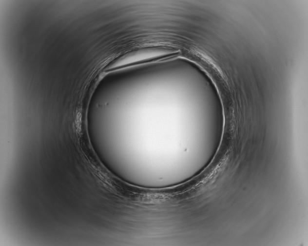 X0000093160777200710171209