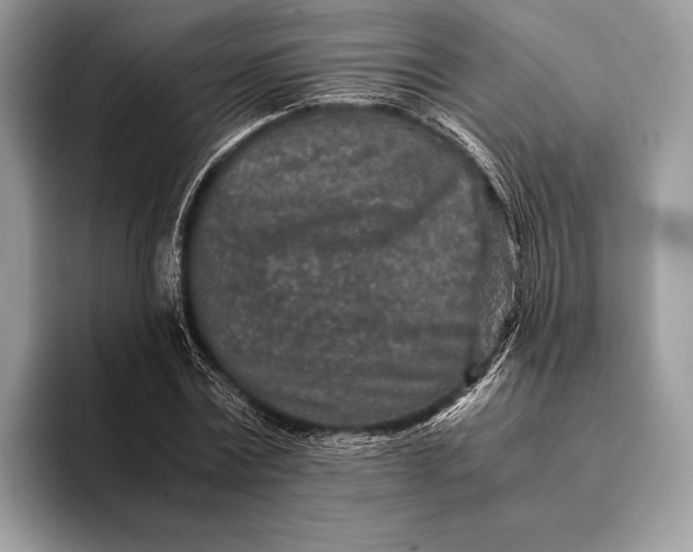 X0000093160779200710171209