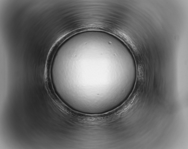 X0000093160780200710171209