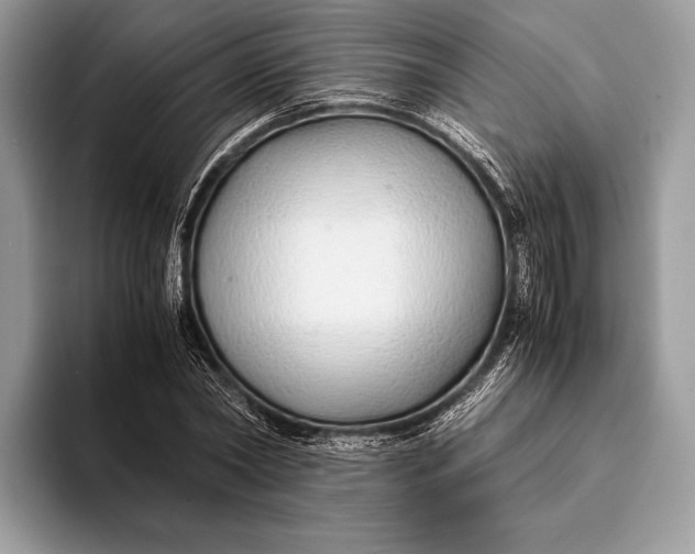 X0000093160782200710171209
