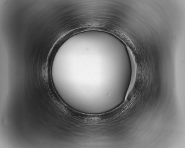 X0000093160784200710171209