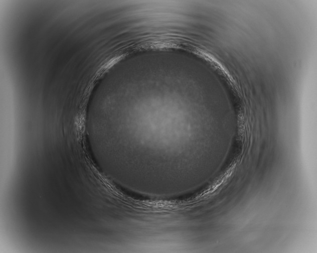 X0000093160785200710171209