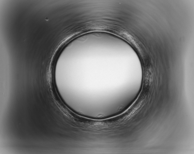 X0000093160787200710171209