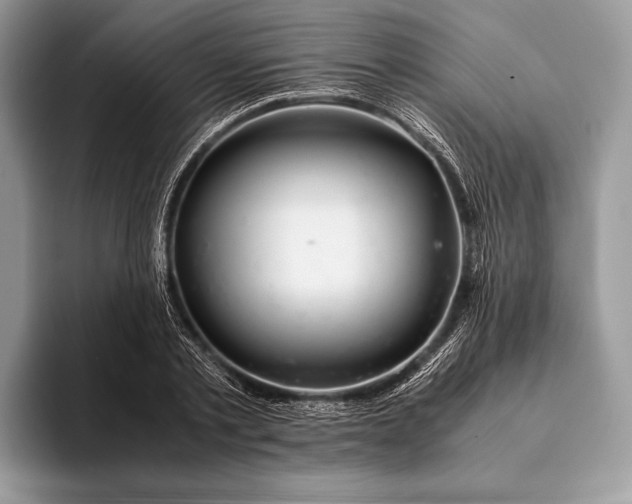 X0000093160789200710171209