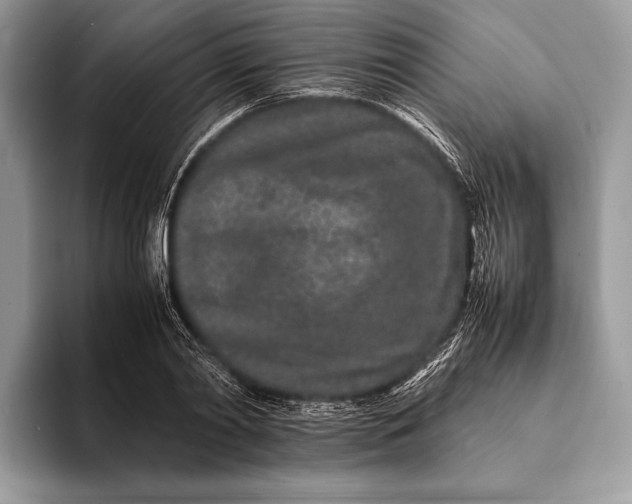 X0000093160790200710171209