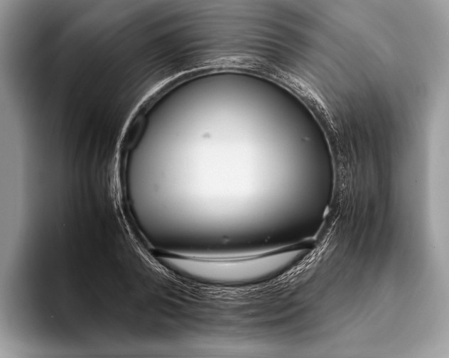 X0000093160792200710171209